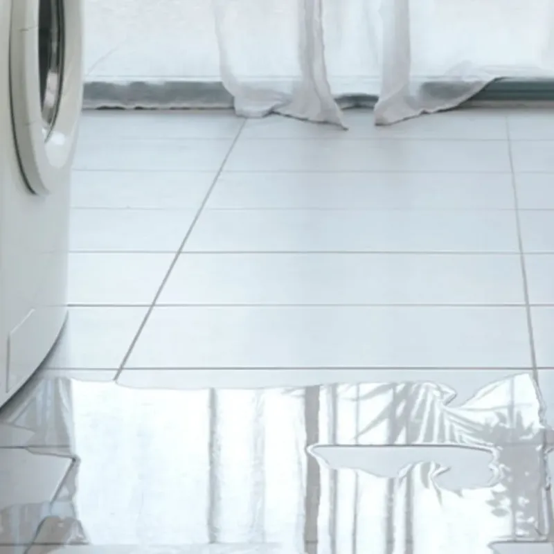 Appliance Leak Cleanup in Johnson County, MO