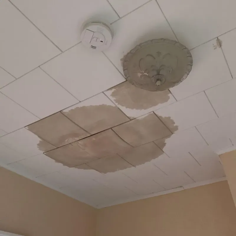 Ceiling Water Damage Repair in Johnson County, MO
