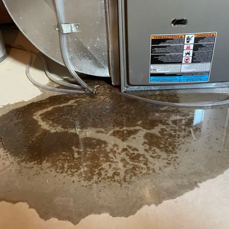 Pipe Burst and Leak Restoration in Johnson County, MO