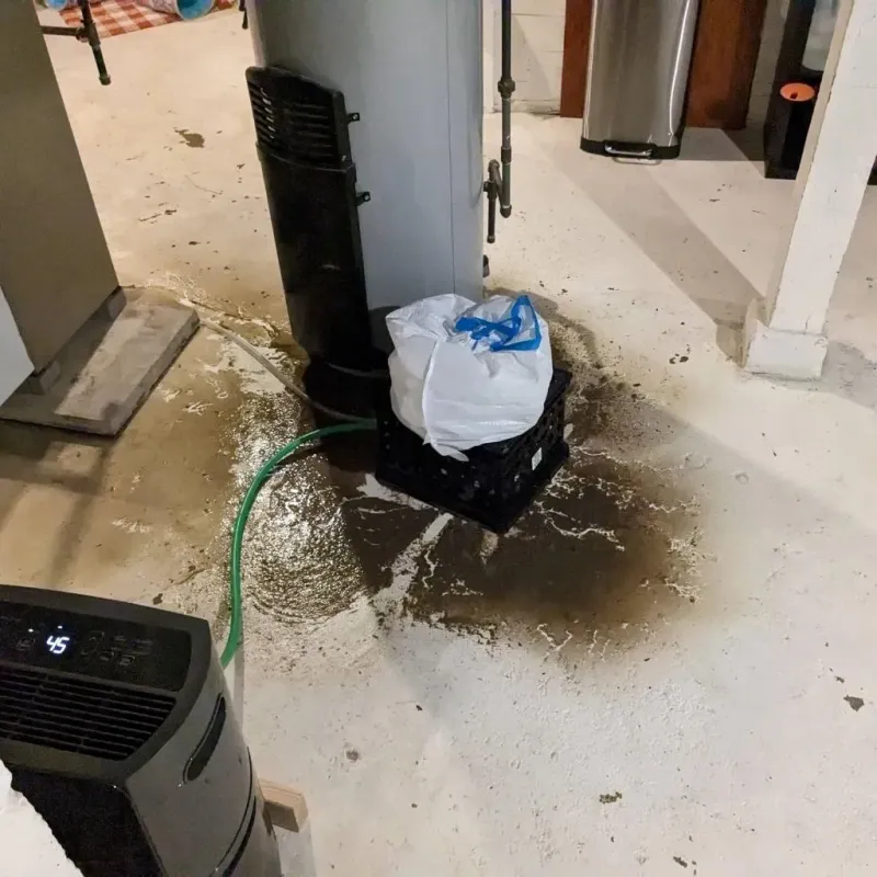 Sewage Backup Cleanup Service in Johnson County, MO